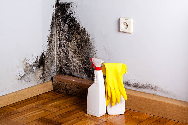 Water Damage Restoration in Bangor Base, WA